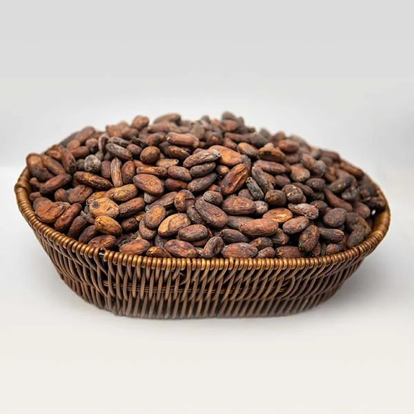 About Cocoa Bean