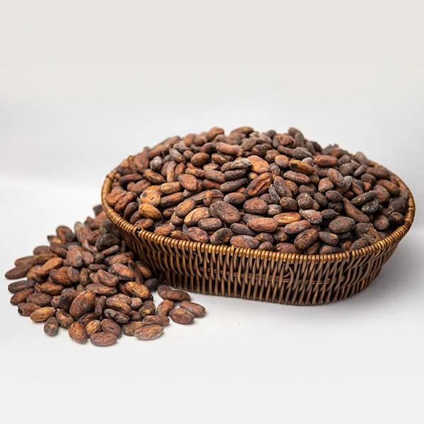 About Cocoa Bean